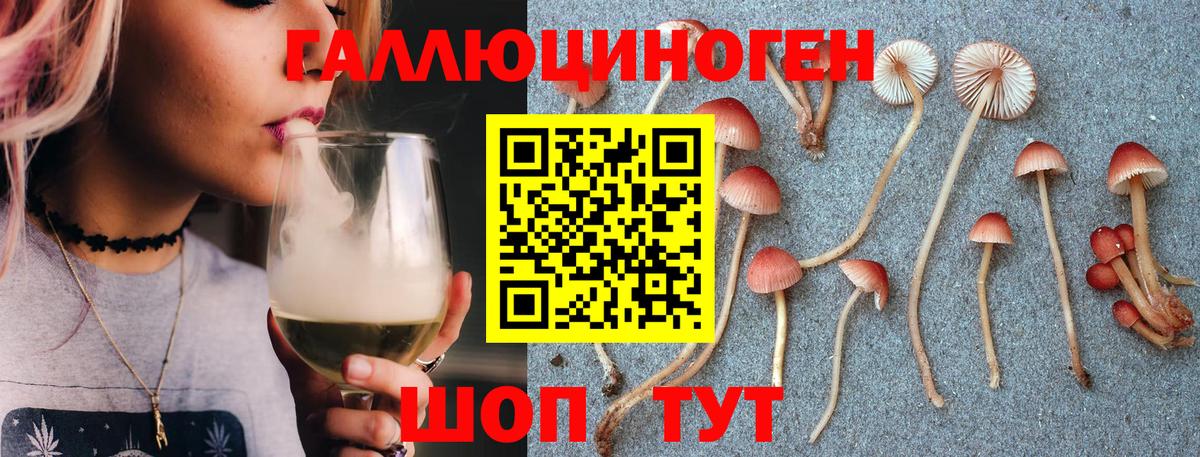 Галлюциногенные грибы прущие грибы  Вход с VPN  Вязьма  Псилоцибиновые грибы мицелий 